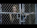 HOSTEL III [2012] Exclusive - nickolashreli.com @nickolashreli