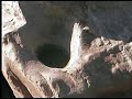 Rif-Amazigh-Berbe-Tamazgha,,