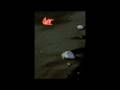 videos de Truculent Ominousity