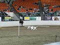 Reeboks Kid Equine Affaire Versatility Finals