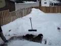 2 Doxies & 1 Schnoodle = a FUN time... and snowballs!!