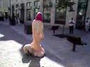 bestiole en solde