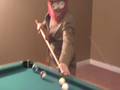 Leroy Donavan playing pool.MOD