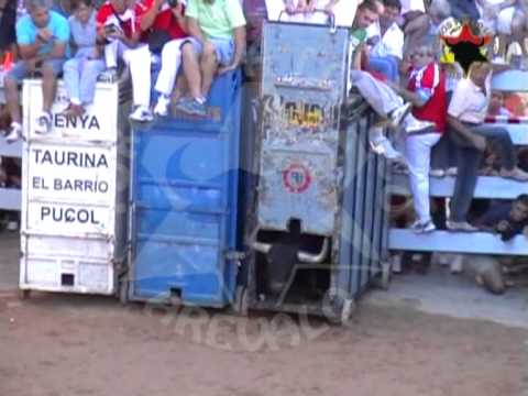 Lo mejor de Toros y a lo Loco 2010 (Cogidas, Encierros, Bous..)