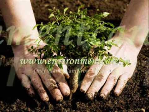 how to grow fresh air