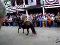 pullman city 2006