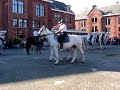 Escorte Royale / Koninklijk Escorte