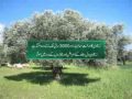 Pakistan's... View Video