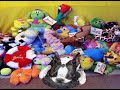 English Sheepdog & Boston Terrier Love Gary Oldman - Part 2 English Sheepdog & Boston Terrier Love Gary Oldman - Part 2