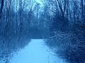 MOV03783.MPG