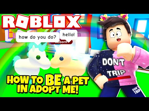 Works How To Be A Pet In Adopt Me Roblox Minecraftvideos Tv