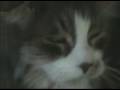 20081221a