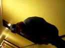 Moe Gettin Twerked Moe Gettin Twerked