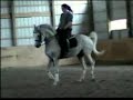 HS Pageno schooling piaffe and passage