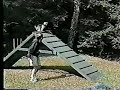 gidgets reel