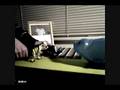 videos de Episode 12- Pig...