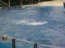 flordia-part.html