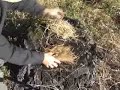 Fire Making 101