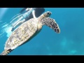 Maldives Cruise Tour