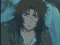 wolf\