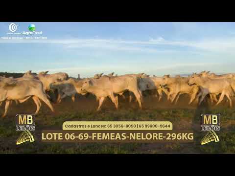 545� LEIL�O VIRTUAL MB LEIL�ES
