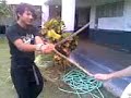 Warrrr-Original Warrrr-Original