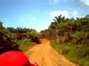 resession 4*4 dans la brousse du Honduras 06.07