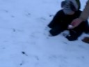 Snow 11-22-08