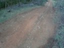 Mornington Back Section - TABER Helmetcam