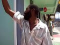 Rum Roy - Breadfruit Tree