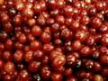videos de CranberriesSplitting.avi