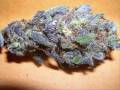Bizzy- Smokin Weed.wmv