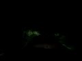 MOV01660