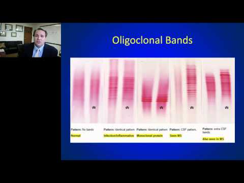 how to test b cell function