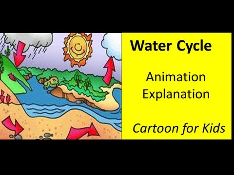how to define the water cycle