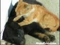 Deep Tissue Massage