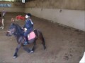 le�on au poney club