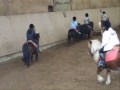 le�on au poney club