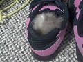 The cutest hamster video ever! [Official].