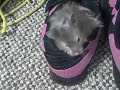 The cutest hamster video ever! [Official].