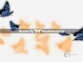 CG映像素材 Butterfly MovieMaterial