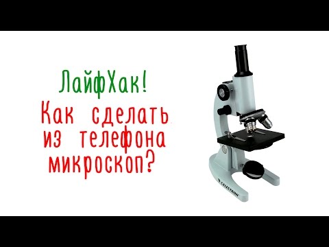 Микроскоп своими руками в домашних условиях Микроскоп своими руками в домашних условиях