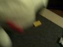 super dog