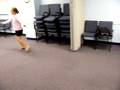 Dancing