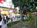 Zona-Rosa-de-d-a