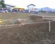 apecar frende trophy