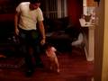 videos de almost walking..