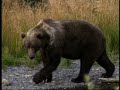 The National Wildlife Refuges of Alaska
