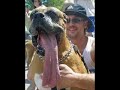Really Funny Pics !!