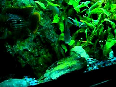 TableTenFilms -